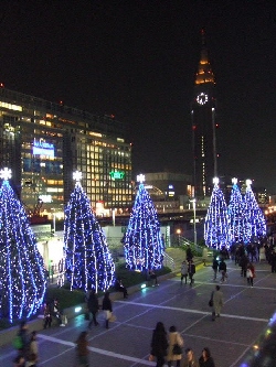 2008_1212 はる0084.jpg