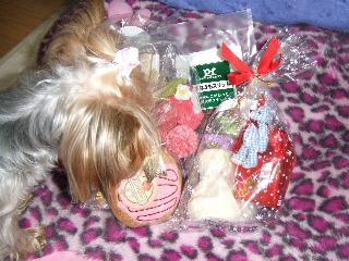 2008_1212 はる0096.jpg