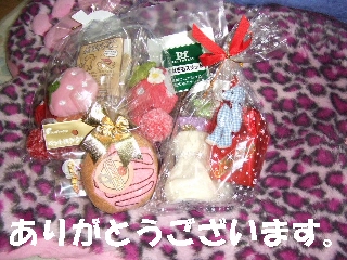 2008_1212 はる0097.jpg