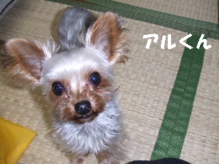 2008_1216 はる0065.jpg