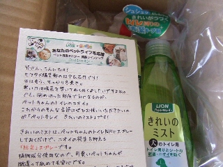 2008_1219 はる0011.jpg