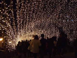 2008_1220 はる0021.jpg