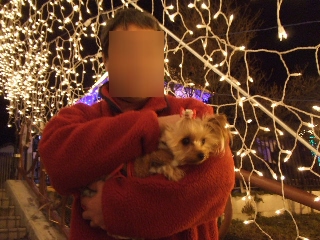 2008_1220 はる0022.jpg