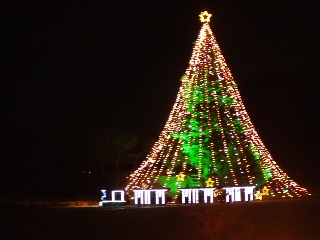 2008_1220 はる0025.jpg