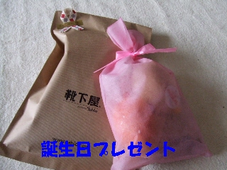 2008_1222 はる0015.jpg