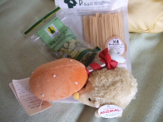 2008_1222 はる0018.jpg
