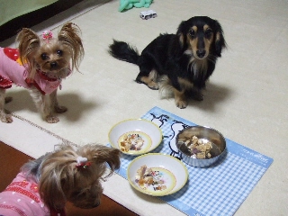 2008_1222 はる0052.jpg