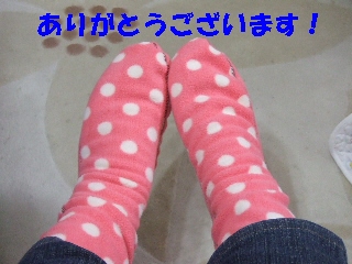 2008_1222 はる0062.jpg