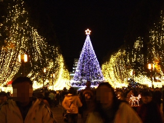 2008_1225 はる0029.jpg