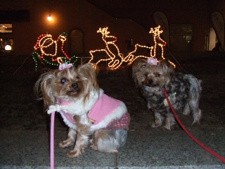 2008_1225 はる0032.jpg