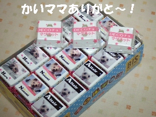 2008_1227 はる0026.jpg