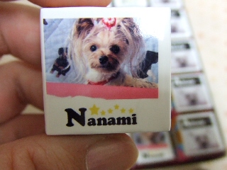 2008_1227 はる0030.jpg