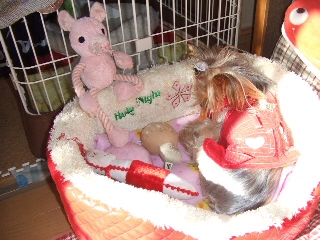 2009_0106 はる0008.jpg