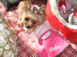 2009_0106 はる0014.jpg