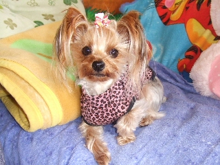 2009_0107 はる0022.jpg