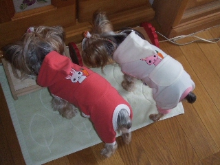 2009_0114 はる0008.jpg
