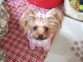 2009_0114 はる0023.jpg