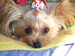 2009_0116 はる0016.jpg