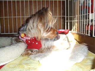 2009_0116 はる0022.jpg