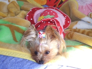 2009_0116 はる0025.jpg