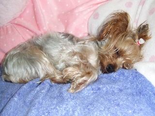 2009_0123 はる0008.jpg