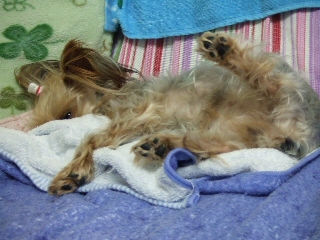 2009_0123 はる0011.jpg