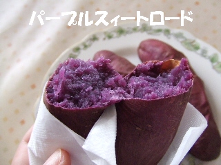 2009_0124 はる0013.jpg