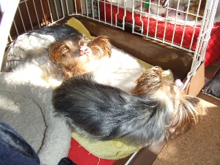2009_0126 はる0014.jpg