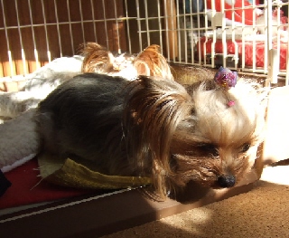 2009_0126 はる0015.jpg
