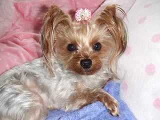 2009_0227 はる0041.jpg