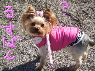 2009_0302 はる0010.jpg