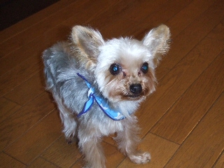 2009_0302 はる0014.jpg