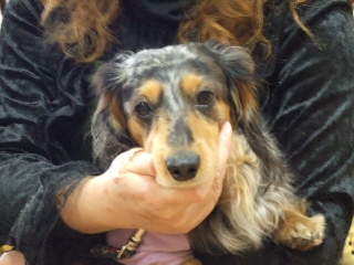 2009_0303 はる0014.jpg