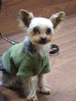 2009_0303 はる0036.jpg