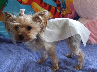 2009_0319 はる0010.jpg