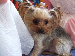 2009_0319 はる0014.jpg