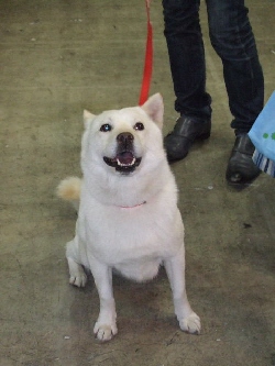 2009_0329 はる0016.jpg
