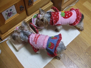 2009_0329 はる0048.jpg