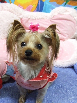 2009_0330 はる0053.jpg