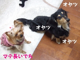 2009_0401 はる0086.jpg
