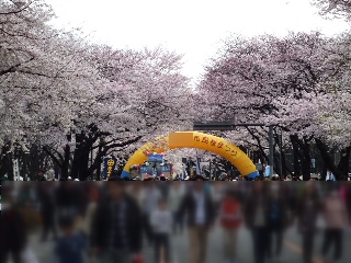 2009_0408 はる0009.jpg