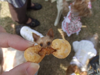 2009_0408 はる0045.jpg