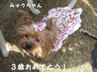 2009_0408 はる0050.jpg