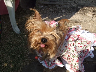 2009_0408 はる0067.jpg