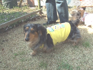 2009_0408 はる0070.jpg