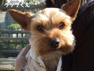 2009_0408 はる0084.jpg