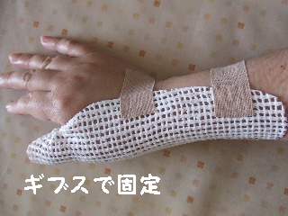 2009_0427 はる0010.jpg