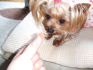 2009_0501 はる0027.jpg