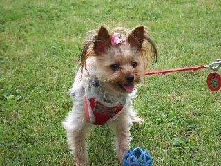2009_0604 はる0034.jpg