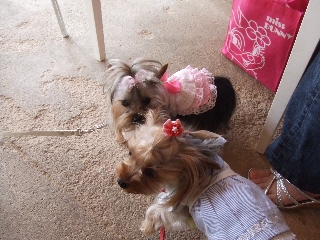 2009_0614 はる0008.jpg